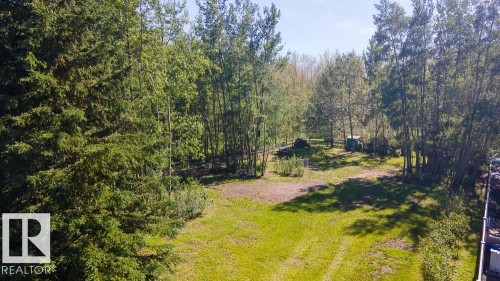 Expansive parcel featuring a large grassy area, mature evergreen trees, and established deciduous trees - 4701 34 St., Rural Wetaskiwin County, AB 