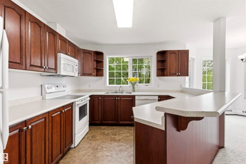 Kitchen - #201 14 Mission Av, St. Albert, AB - Indoor Photo Showing Kitchen With Double Sink