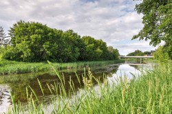Natural waterway bordered by lush green foliage and tall grasses - 