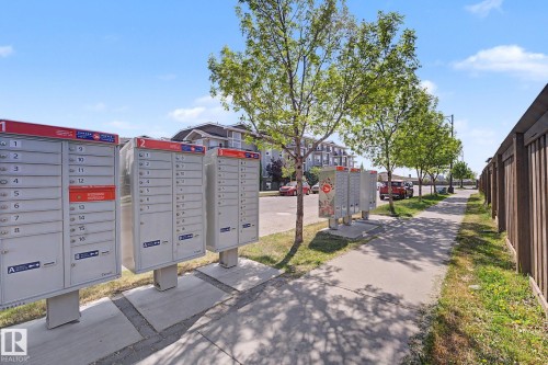 9507 Simpson Crest, Edmonton, AB - Outdoor