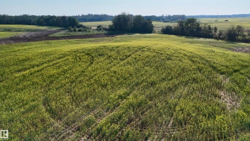 51421 Rr 233, Rural Strathcona County, AB 
