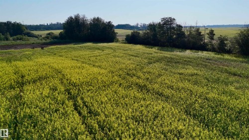 51421 Rr 233, Rural Strathcona County, AB 