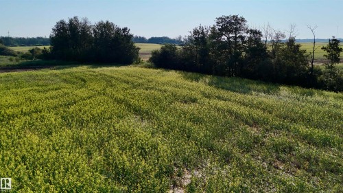 51421 Rr 233, Rural Strathcona County, AB 