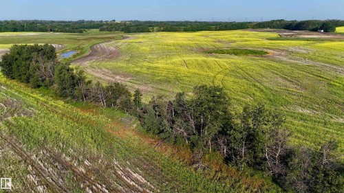 51421 Rr 233, Rural Strathcona County, AB 