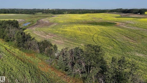 51421 Rr 233, Rural Strathcona County, AB 