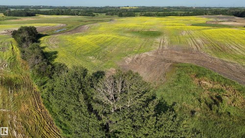 51421 Rr 233, Rural Strathcona County, AB 