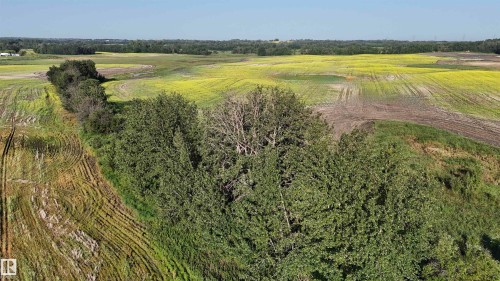 51421 Rr 233, Rural Strathcona County, AB 
