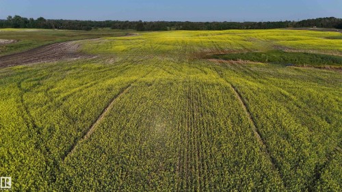 51421 Rr 233, Rural Strathcona County, AB 