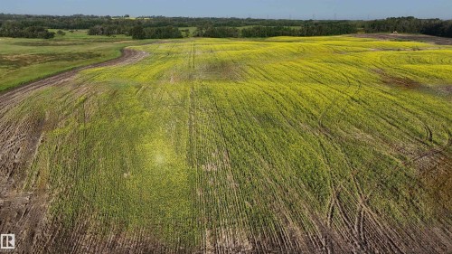 51421 Rr 233, Rural Strathcona County, AB 