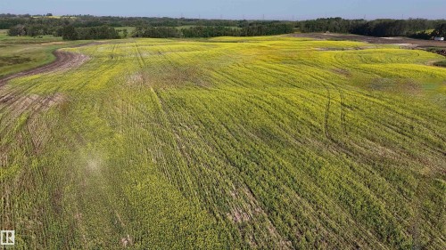 51421 Rr 233, Rural Strathcona County, AB 