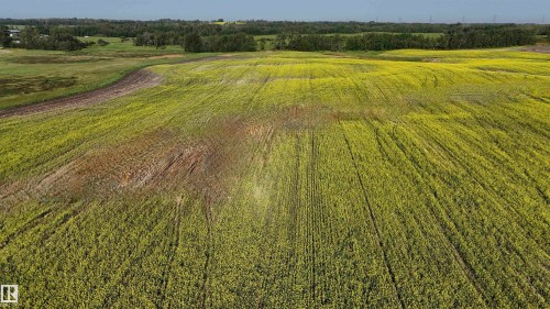 51421 Rr 233, Rural Strathcona County, AB 