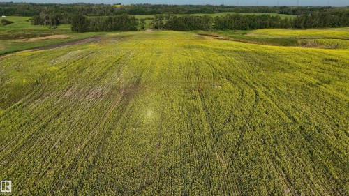 51421 Rr 233, Rural Strathcona County, AB 
