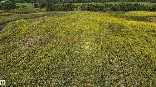 51421 Rr 233, Rural Strathcona County, AB 