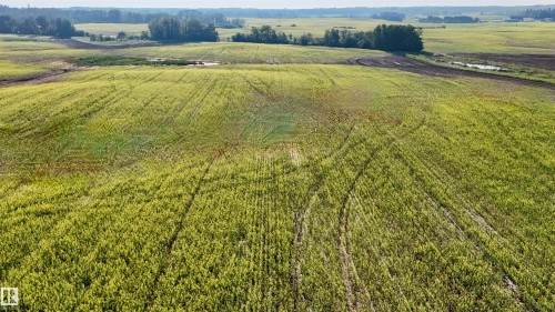 51421 Rr 233, Rural Strathcona County, AB 