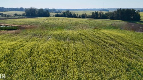 51421 Rr 233, Rural Strathcona County, AB 