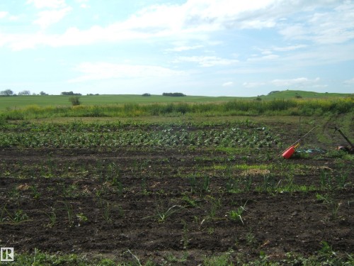 Cultivated garden beds featuring planted crops and dark, rich soil - 543016 Rng Rd 122, Rural Two Hills County, AB - Outdoor With View