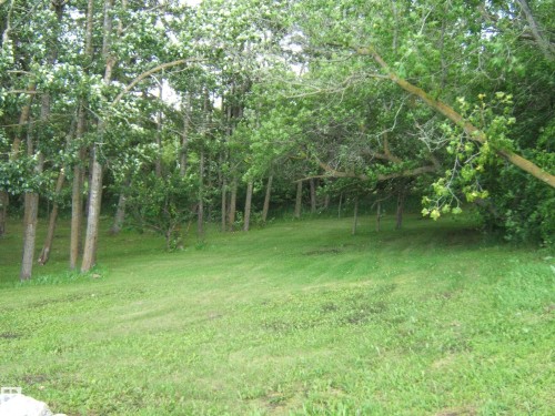 Expansive grassy area bordered by mature deciduous trees - 543016 Rng Rd 122, Rural Two Hills County, AB - Outdoor