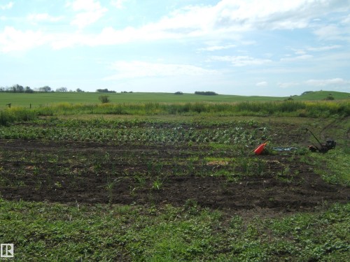 Cultivated garden beds with varied plantings - 543016 Rng Rd 122, Rural Two Hills County, AB - Outdoor With View