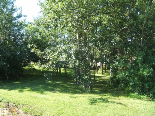 Mature trees providing natural shade and a lush green lawn - 543016 Rng Rd 122, Rural Two Hills County, AB - Outdoor