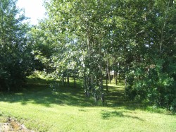Mature trees providing natural shade and a lush green lawn - 