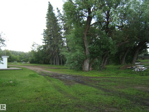 Expansive grassy area with mature deciduous and evergreen trees - 543016 Rng Rd 122, Rural Two Hills County, AB - Outdoor