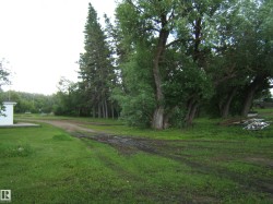 Expansive grassy area with mature deciduous and evergreen trees - 