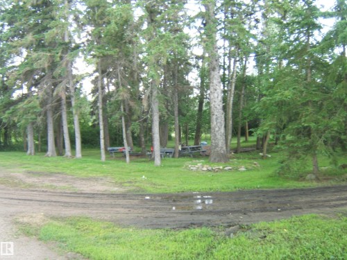 Wooded property featuring a natural landscape and mature evergreen trees - 543016 Rng Rd 122, Rural Two Hills County, AB - Outdoor
