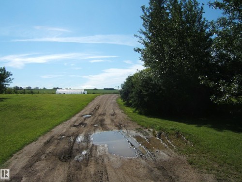 Rural property featuring a dirt pathway, expansive green fields, mature trees, and a distant greenhouse structure - 543016 Rng Rd 122, Rural Two Hills County, AB - Outdoor With View
