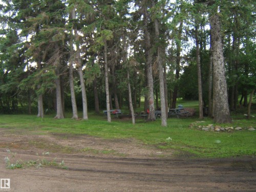 Wooded property featuring mature evergreen trees and a ground-level rock border - 543016 Rng Rd 122, Rural Two Hills County, AB - Outdoor