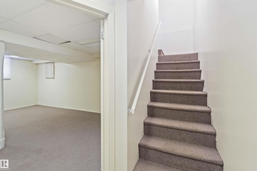 Carpeted staircase with a white handrail leading to an expansive carpeted room featuring a drop ceiling and small windows - 13156 101 St Nw, Edmonton, AB 