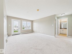 Bright living area featuring light-toned carpeting and neutral wall colors - 