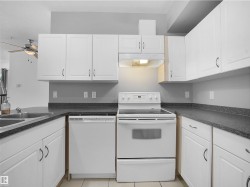 Kitchen featuring white cabinetry, dark speckled countertops, and a full suite of white appliances - 
