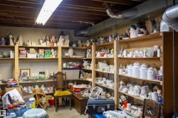 Basement area featuring exposed ceiling joists, overhead fluorescent lighting, ductwork, and extensive built-in shelving - 