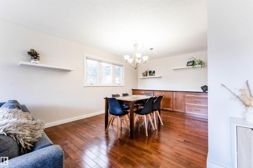 Dining area featuring wood-finish flooring, a multi-pane window, built-in cabinetry with dark countertops, and overhead lighting - 5212 142 Street Nw, Edmonton, AB - Indoor Photo Showing Dining Room