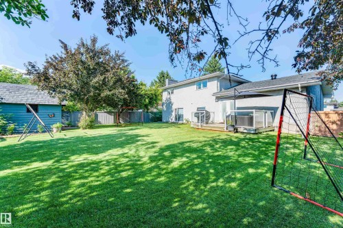 Spacious backyard featuring a large green lawn, mature trees, a wooden deck with glass panel railing, and a detached shed with shingle roofing - 5212 142 Street Nw, Edmonton, AB - Outdoor