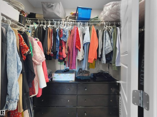 Custom walk-in closet featuring built-in black dresser with six drawers, white wire shelving, and chrome hanging rods - #30 4137 76 St Nw, Edmonton, AB 
