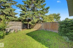 Expansive outdoor space featuring a large wooden privacy fence, mature evergreen trees, and a concrete outbuilding with an open entry - 