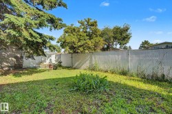 Spacious backyard featuring a chain-link fence, mature trees, and a clear sky - 