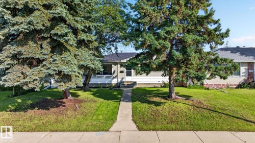 Ranch-style residence featuring a prominent lawn, mature evergreen trees, and a concrete pathway leading to the front entry - 16152 110B Avenue Nw, Edmonton, AB - Outdoor