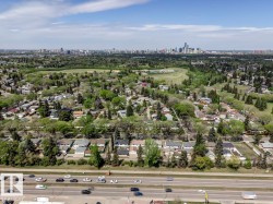Expansive aerial perspective showcasing a residential area with varied housing styles, mature trees, and a distant city skyline - 