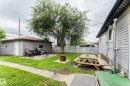 Spacious backyard featuring a large mature tree, concrete patio area, and concrete walkway - 13211 77 Street Nw, Edmonton, AB  - Outdoor 