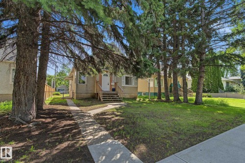 Exterior featuring a stucco facade, front entry porch with wooden steps, multiple mature evergreen trees, a concrete pathway, and a grassy front yard - 11147 78 Avenue Nw, Edmonton, AB 