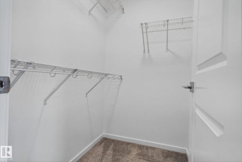 Walk-in closet featuring built-in wire shelving, white painted walls, and carpet flooring - 264 Orchards Boulevard Sw, Edmonton, AB - Indoor With Storage