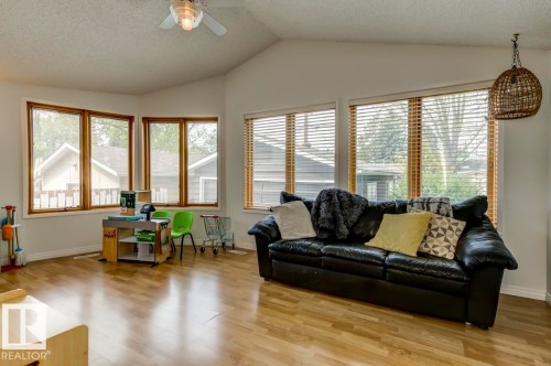 4024 121 St, Edmonton, AB - Indoor Photo Showing Living Room