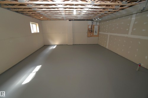 10224 90 Street Nw, Edmonton, AB - Indoor Photo Showing Basement