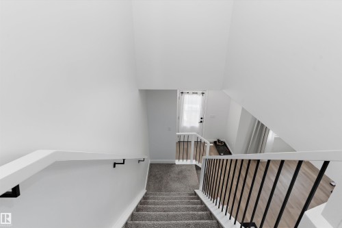 Carpeted staircase with white walls and a white handrail, complemented by black spindles and black handrail brackets - 1439 Goodspeed Lane Nw, Edmonton, AB - Indoor Photo Showing Other Room