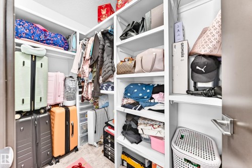 Walk-in closet featuring white shelving, multiple hanging rods, and built-in storage solutions - 16244 138 Street Nw, Edmonton, AB - Indoor With Storage