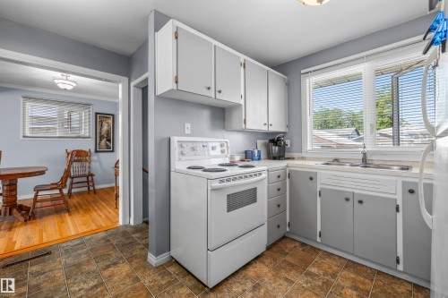 10534 163 Street Nw, Edmonton, AB - Indoor Photo Showing Kitchen With Double Sink