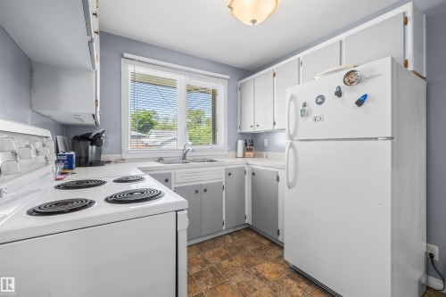 10534 163 Street Nw, Edmonton, AB - Indoor Photo Showing Kitchen With Double Sink