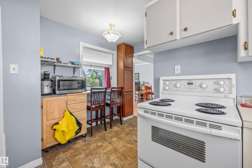 10534 163 Street Nw, Edmonton, AB - Indoor Photo Showing Kitchen